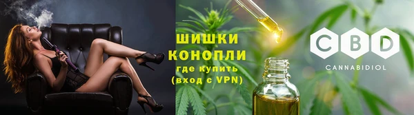 ПСИЛОЦИБИНОВЫЕ ГРИБЫ Абаза