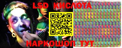 прущие грибы Канаш