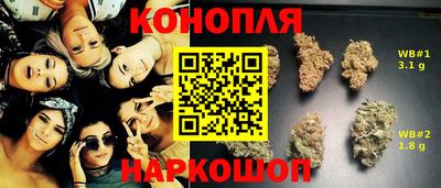 хмурый Камышлов