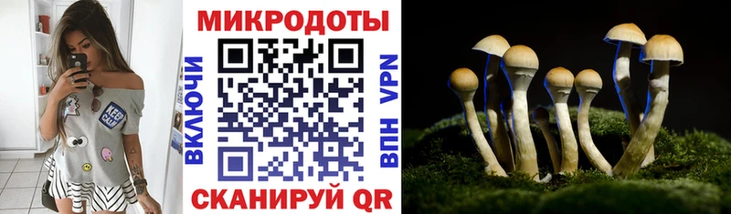 Псилоцибиновые грибы мицелий наркотики Саянск